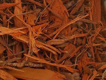 RED-DYED-MULCH
