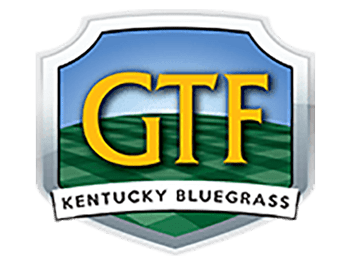 GTF Kentucky Bluegrass