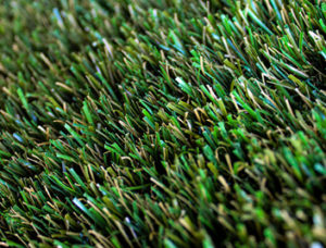 Artificial Grass (Turf)